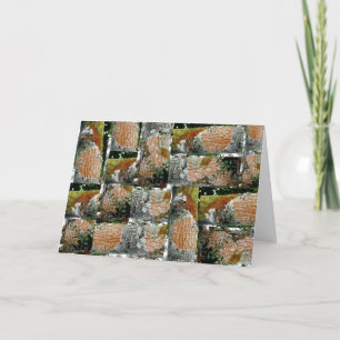 Holly Tree Bark Note Card OBX