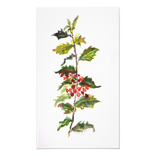 Holly Watercolor Painting Photo Print (Front)