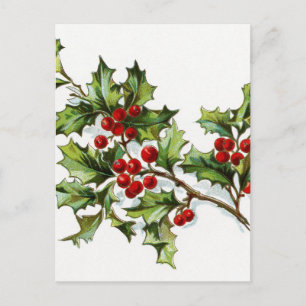 HollyBerries20150802 Postcard