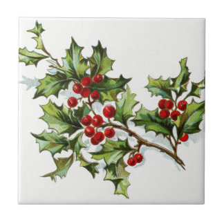 HollyBerries20150802 Tile