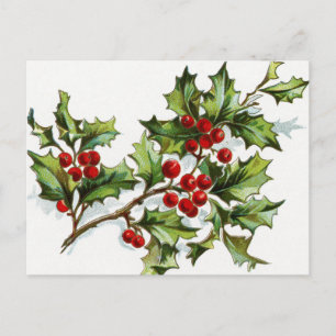 HollyBerries_001 Postcard