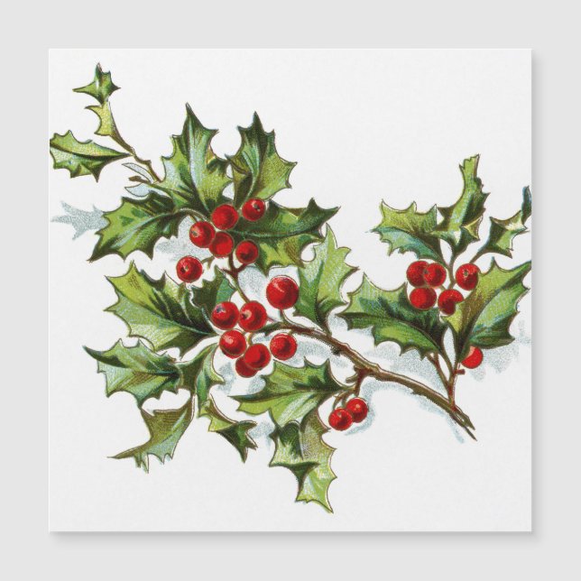 HollyBerries 002 (Front)