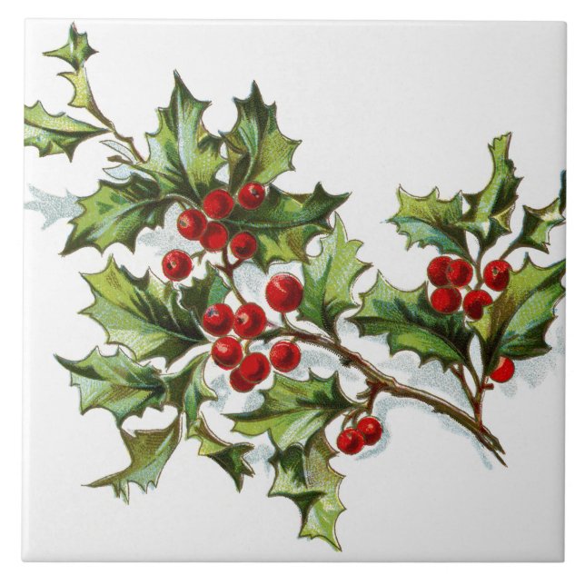 HollyBerries 002 Ceramic Tile (Front)