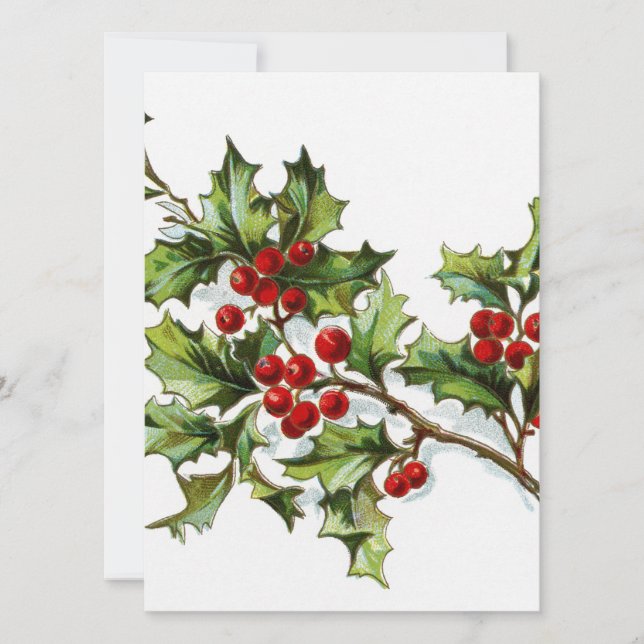 HollyBerries 002 Holiday Card (Front)