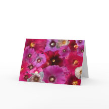 Hollyhock Blossom Collage