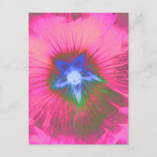 Hollyhock Flower Pink Velvet Postcard
