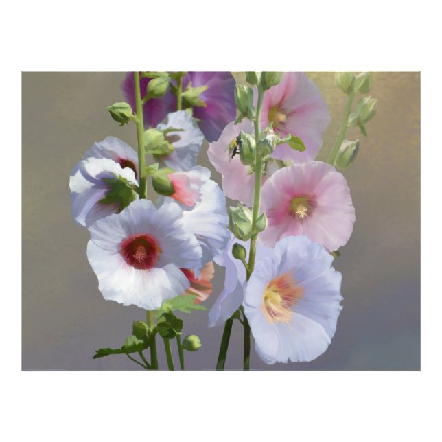 Hollyhock Grouping Photo Print (Front)