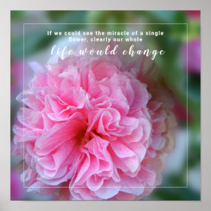 Hollyhock Pink Flower Photo Quote Poster