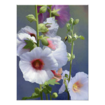 Hollyhocks - Digital Painting - Photo Enlargement