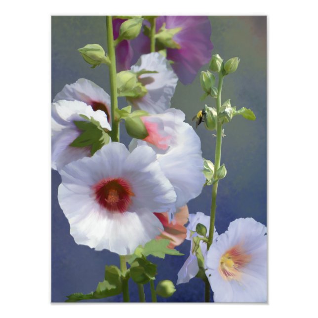 Hollyhocks - Digital Painting - Photo Enlargement (Front)