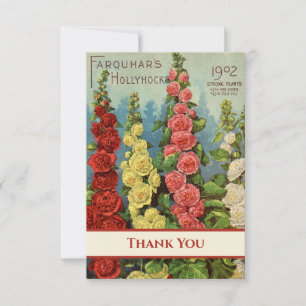 Hollyhocks Red Peach Yellow Cream 1902 Seed Packet Thank You Card