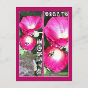 HOLLYS BOOKMARKS POSTCARD