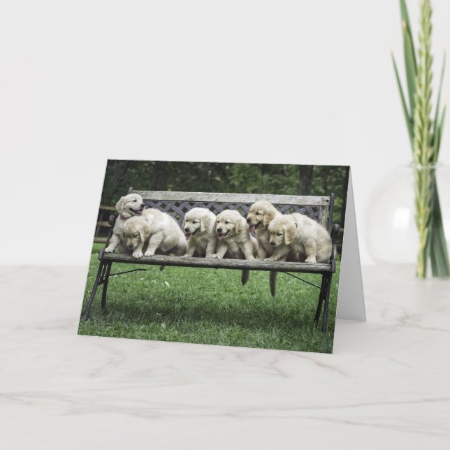 Holly's Half Dozen bench photo card (Front)