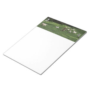 Holly's Half Dozen romp notepad