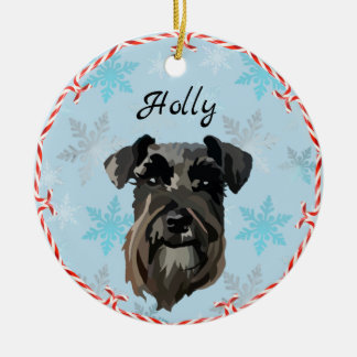 Holly's Ornament