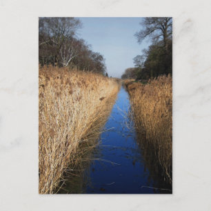 Holme Fen Dyke Postcard