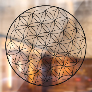 Holographic Flower of Life Sacred Geometry