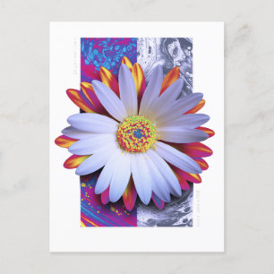 Holographic Flower Postcard