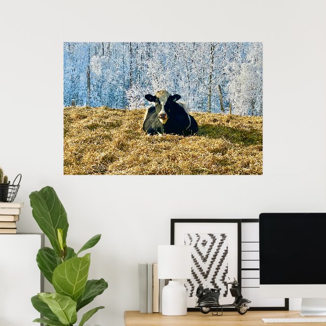 Holstein Calf on Frosty Alberta Morning Poster (Home Office)