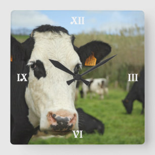 Holstein cattle square wall clock