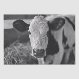 Holstein Cow Black and White Decoupage Tissue Paper
