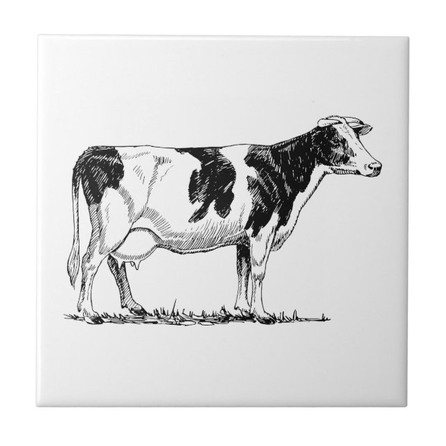Holstein Cow Ceramic Tile (Front)