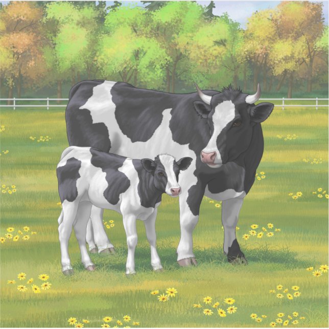 Holstein Cow & Cute Calf in Summer Pasture (Front)