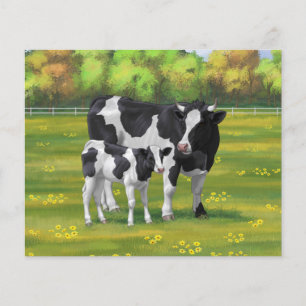 Holstein Cow & Cute Calf in Summer Pasture