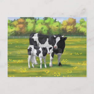 Holstein Cow & Cute Calf in Summer Pasture Postcard