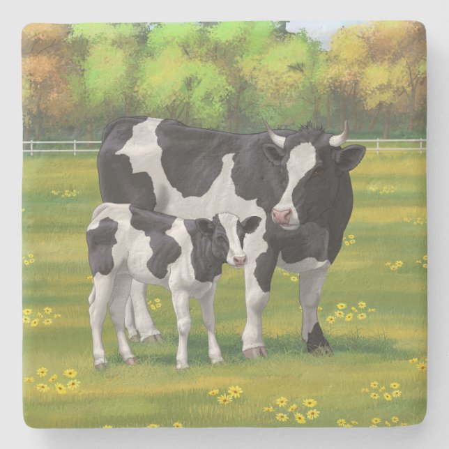 Holstein Cow & Cute Calf in Summer Pasture Stone Coaster (Front)