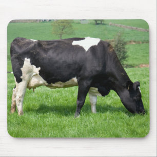 Holstein Cow Grazing Mousepad