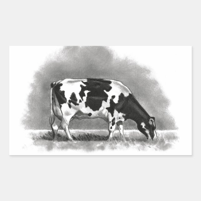 Holstein Cow Grazing: Realism Pencil Drawing Rectangular Sticker (Front)