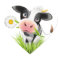 Holstein cow in grass