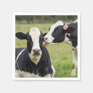 Holstein Cow Kiss in Farm Pasture Napkin