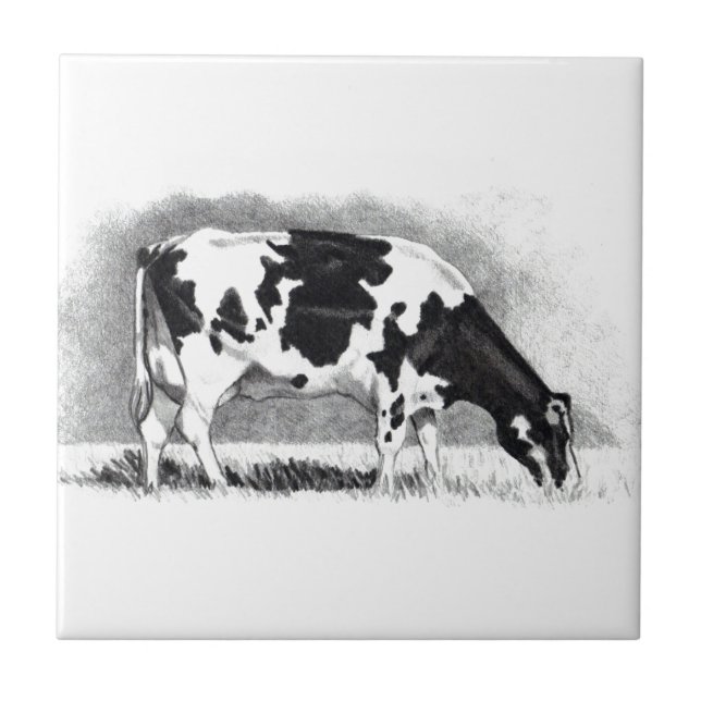 Holstein Cow: Pencil Drawing: Farm, Country Tile (Front)