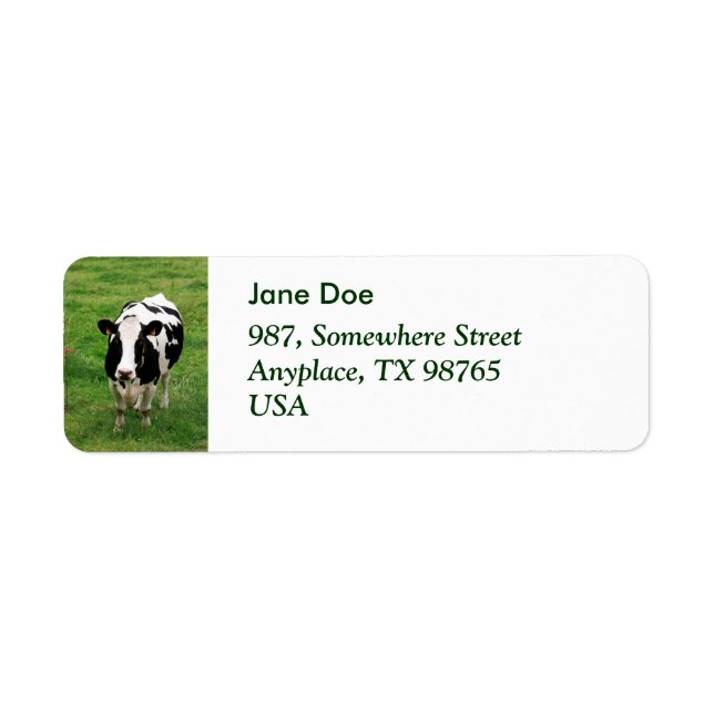 Holstein cow return address label (Front)