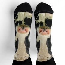 Holstein Cow socks
