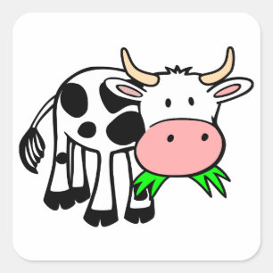 Holstein cow square sticker