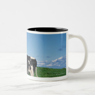 Holstein cow standing in field, Bekkai-Machi, Two-Tone Coffee Mug
