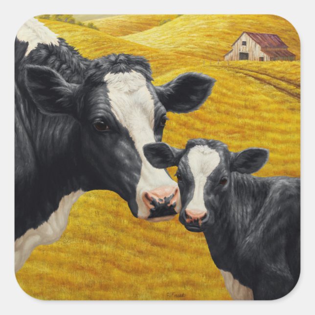 Holstein Cows and Old Wood Barn Square Sticker (Front)