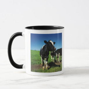 Holstein cows in a field mug