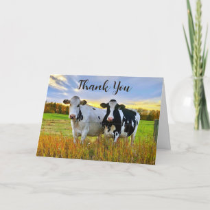 Holstein Cows In Autumn Thank You Card 5x7