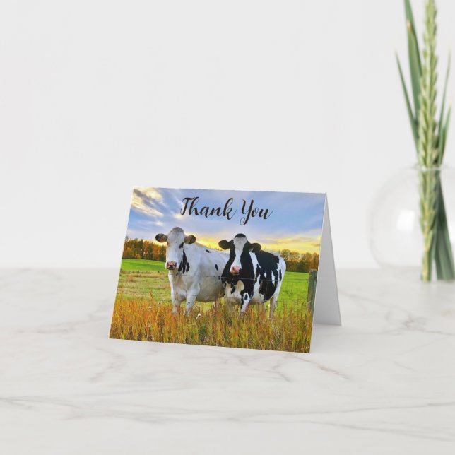 Holstein Cows In Autumn Thank You Note Card (Front)
