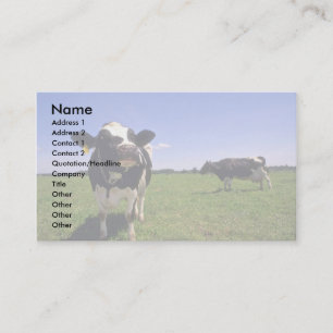 Holstein Dairy Cattle Business Card