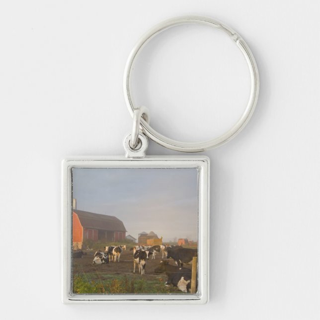 Holstein dairy cows outside a barn at sunrise key ring (Front)