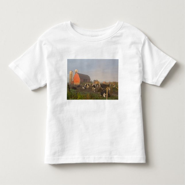 Holstein dairy cows outside a barn at sunrise toddler T-Shirt (Front)