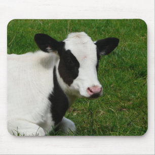 Holstein Dairy Milk Cow on Grass Mouse Pad
