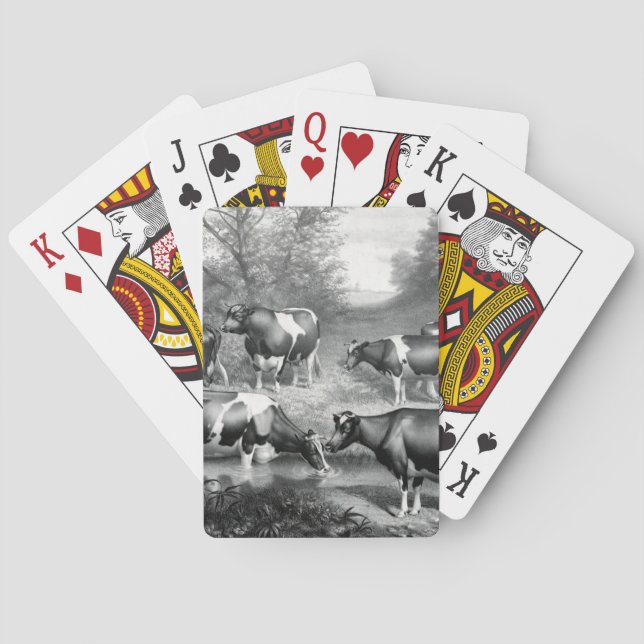 Holstein fresian cows fresian cows playing cards (Back)