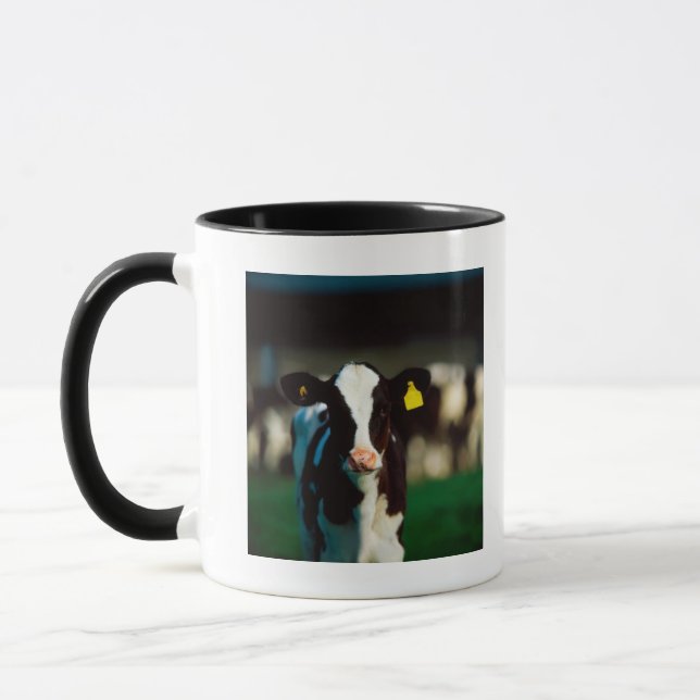 Holstein-Friesian calf Mug (Left)