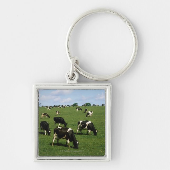 Holstein-Friesian cattle, Ireland Key Ring (Front)
